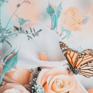 Meet your Posher, Abigail